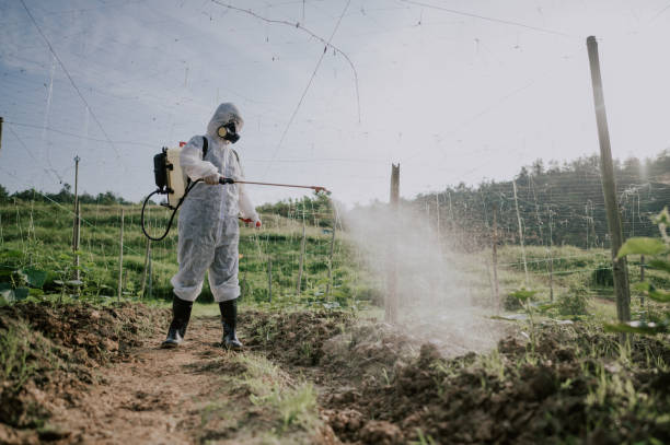 Best Mosquito Control Services  in Blackhawk, CA