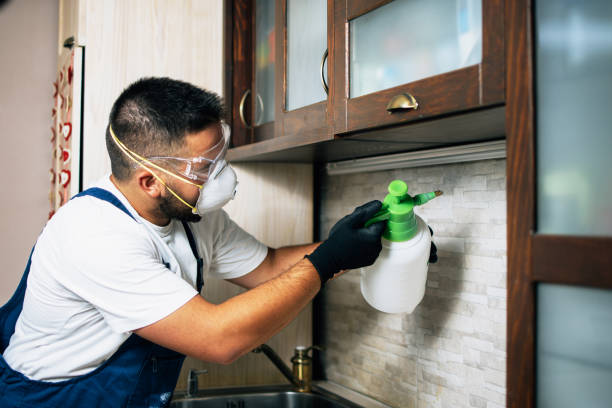 Professional Pest Control in Blackhawk, CA
