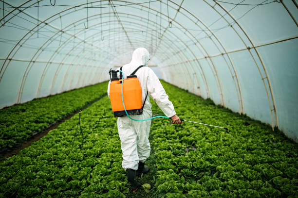 Best Pest Removal Services  in Blackhawk, CA
