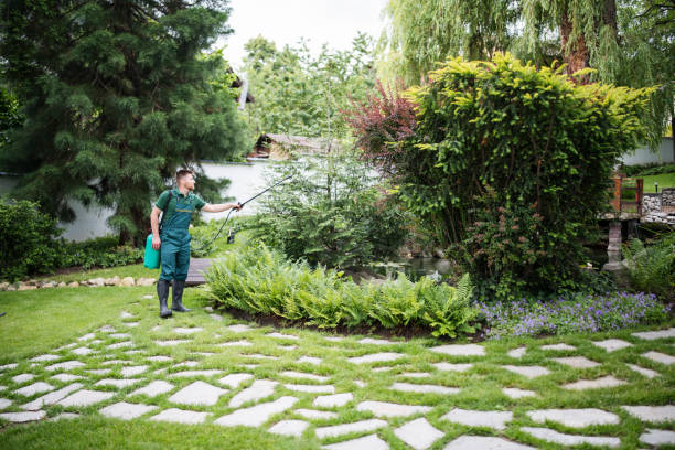 Best Wasp Removal Services  in Blackhawk, CA