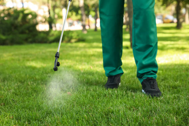 Best Termite Control Services  in Blackhawk, CA