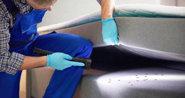 Best Local Pest Control Services  in Blackhawk, CA